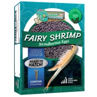 Fairy Shrimp Sirindhornae Eggs