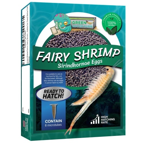 Fairy Shrimp Sirindhornae Eggs