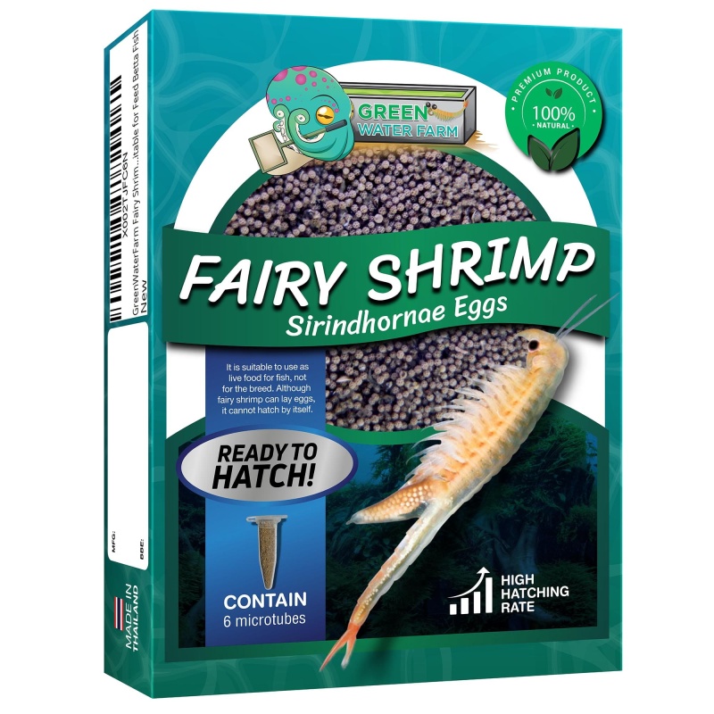Fairy Shrimp Sirindhornae Eggs