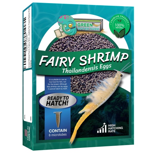 Fairy Shrimp Thailandensis Eggs