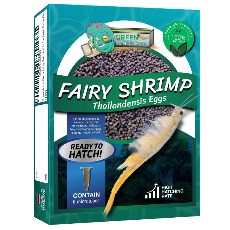 Fairy Shrimp Thailandensis Eggs