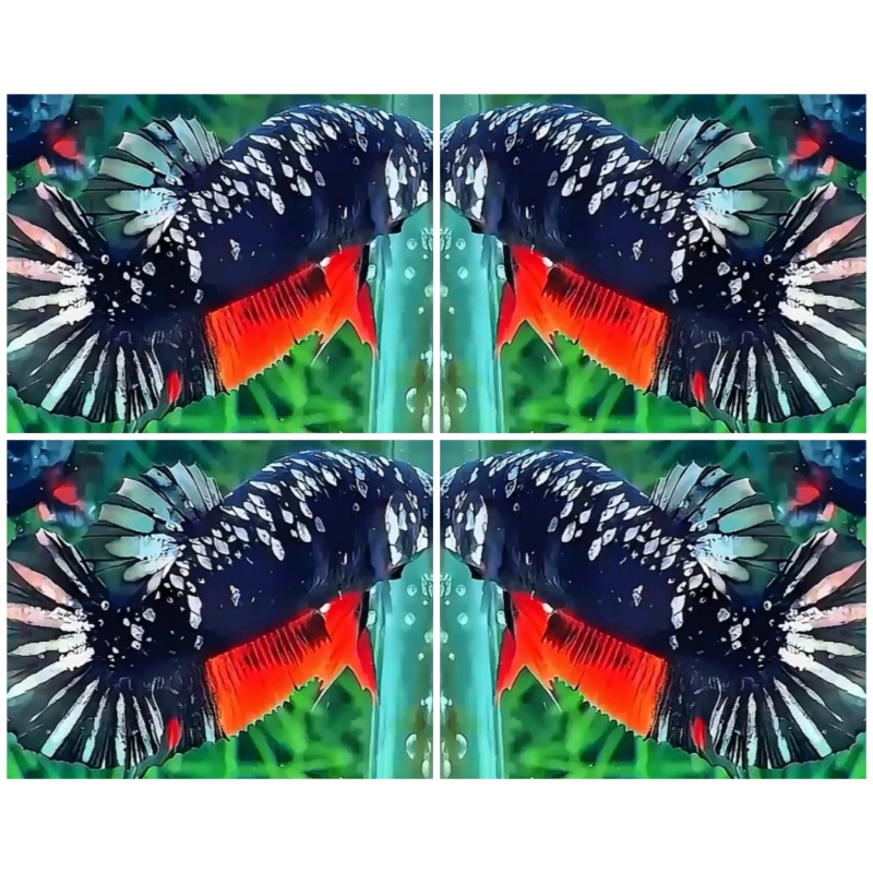 Female Avatar Nemo Copper