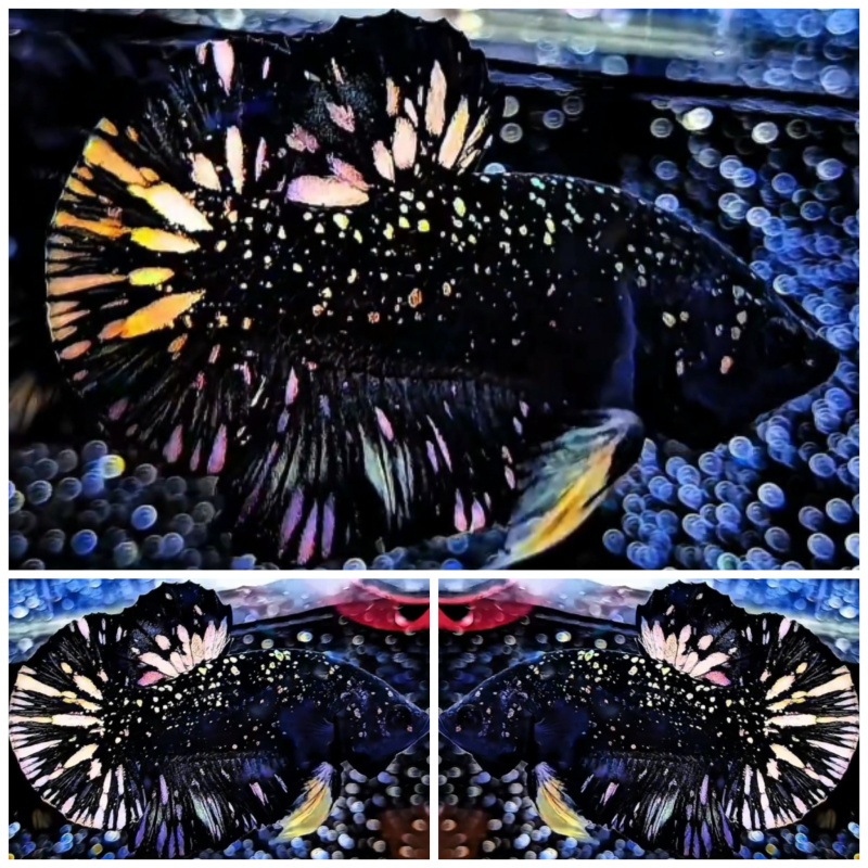 VIP Nebula #1