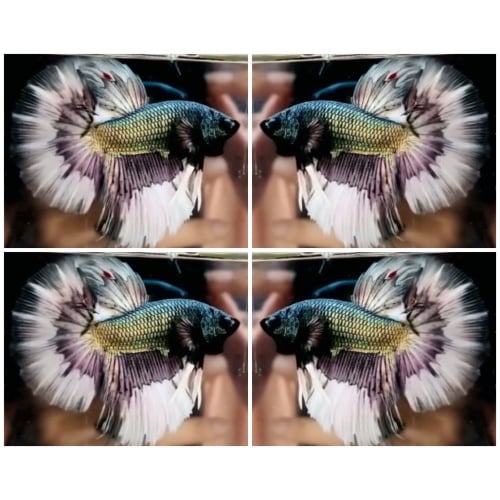 Copper Butterfly