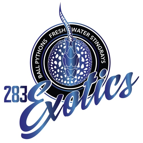283 Exotics