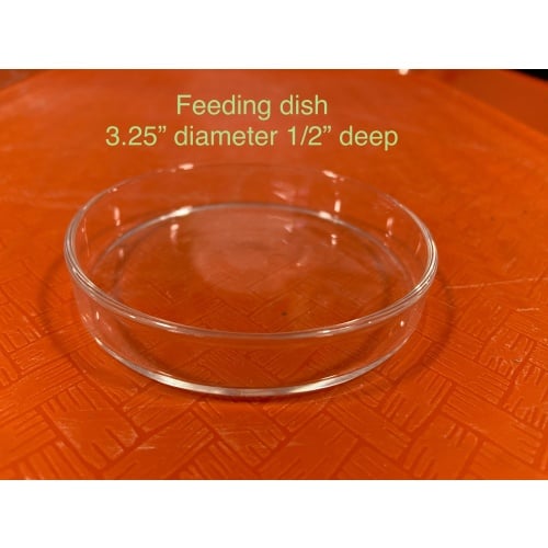 Feeding dishes x4