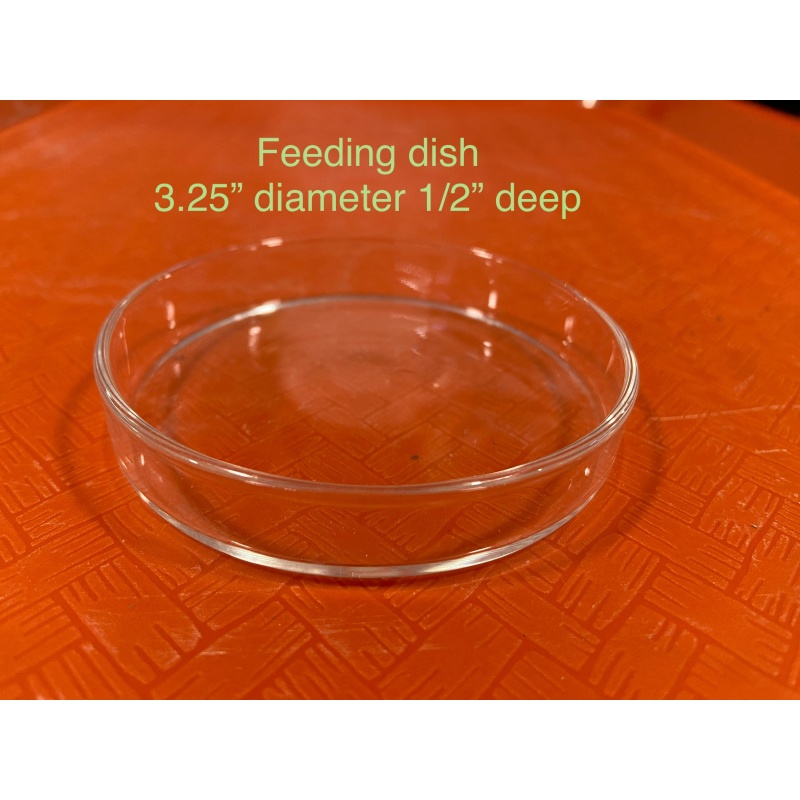 Feeding dishes x4
