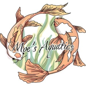 Moe’s Aquatics