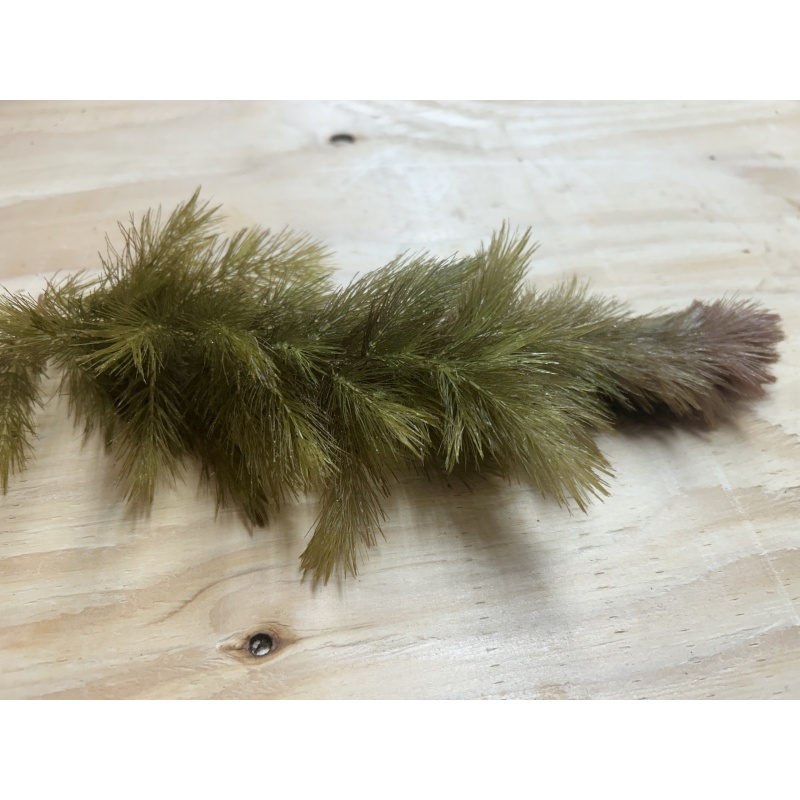 Hornwort