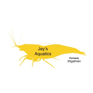 Jay’s Aquatics (55galman)