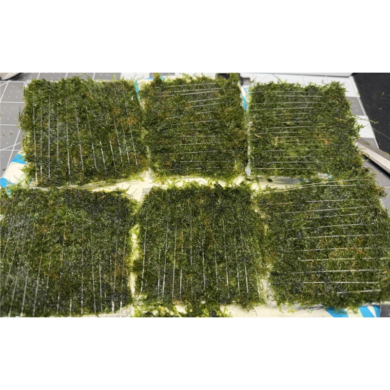 3x3 inch Taiwan Moss Mat (Taxiphyllum alternans)