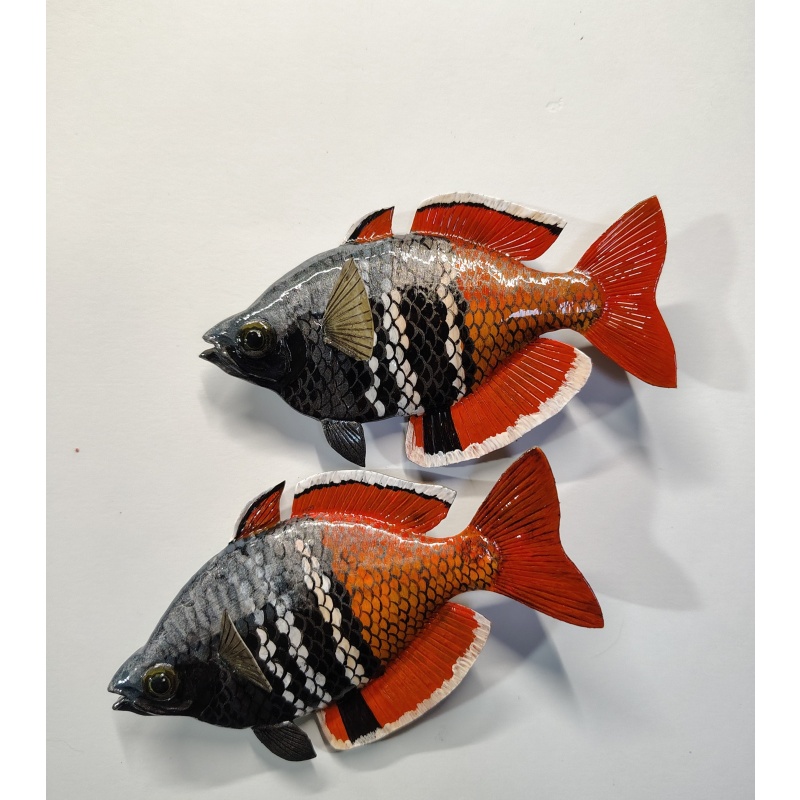 Mel. boesemani "Lake Uter" Sculpture Magnet