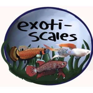 Exoti-Scales