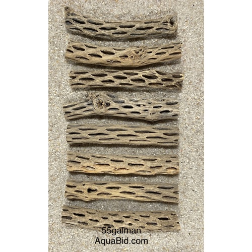Cholla Wood 6” pieces x20
