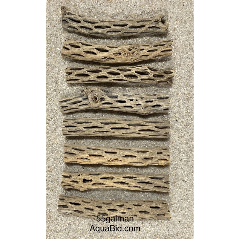 Cholla Wood 6” pieces x10