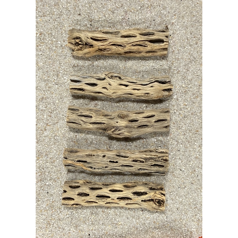 Thick Cholla Wood 6” pieces X20