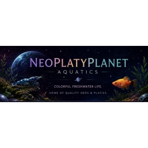 NeoPlatyPlanet