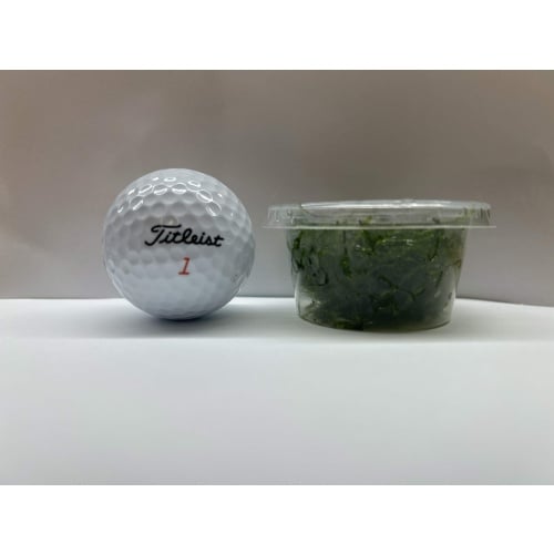 Java Moss - 2oz Cup (BUY 2 GET 1 FREE)