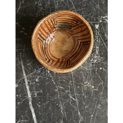 Amazon Rainforest Decorated Bowl