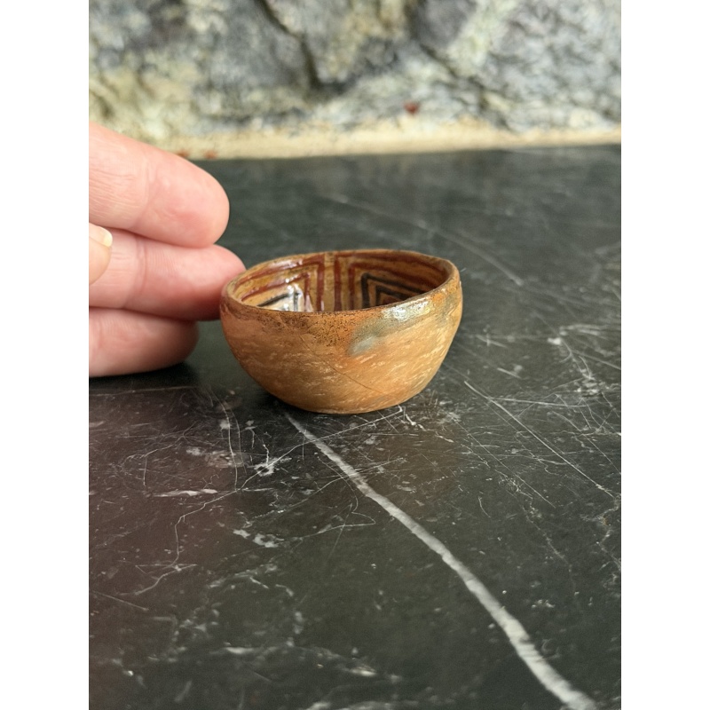 Amazon Rainforest Decorated Bowl