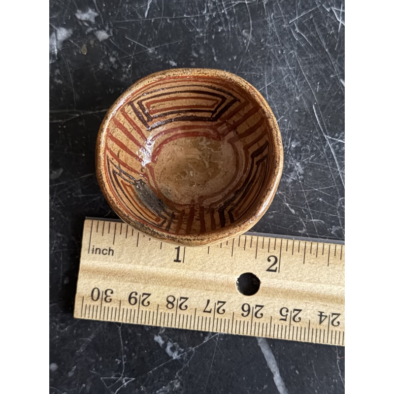 Amazon Rainforest Decorated Bowl