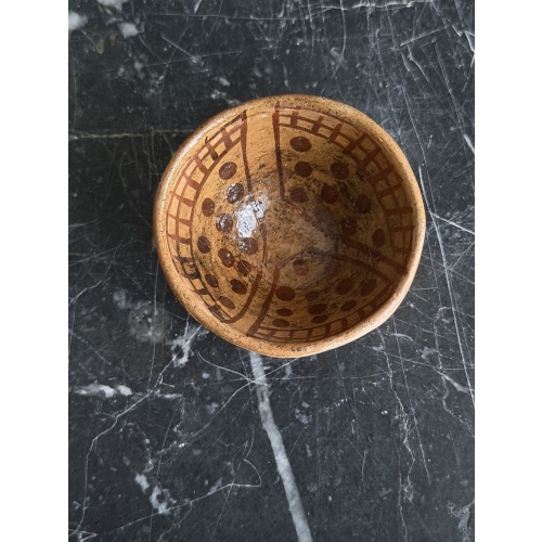 Amazon Rainforest Decorated Bowl - Frogs Eggs Pattern