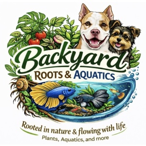 Backyard Roots & Aquatics