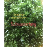 Subwassertang loose golf ball portion (snail free)