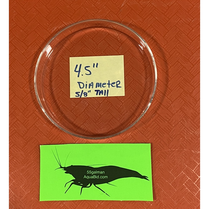 Large feeding tray glass X2