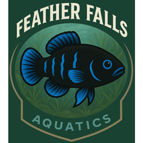 Feather Falls Aquatics