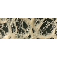 **Small Microworm starter culture[FREE SHIPPING]