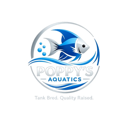 Poppy's Aquatics