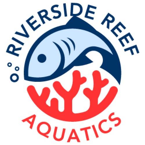 Riverside Reef Aquatics