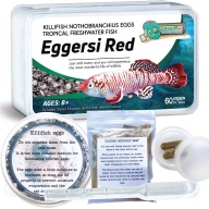 Nothobranchius Eggersi Red 60 eggs + food
