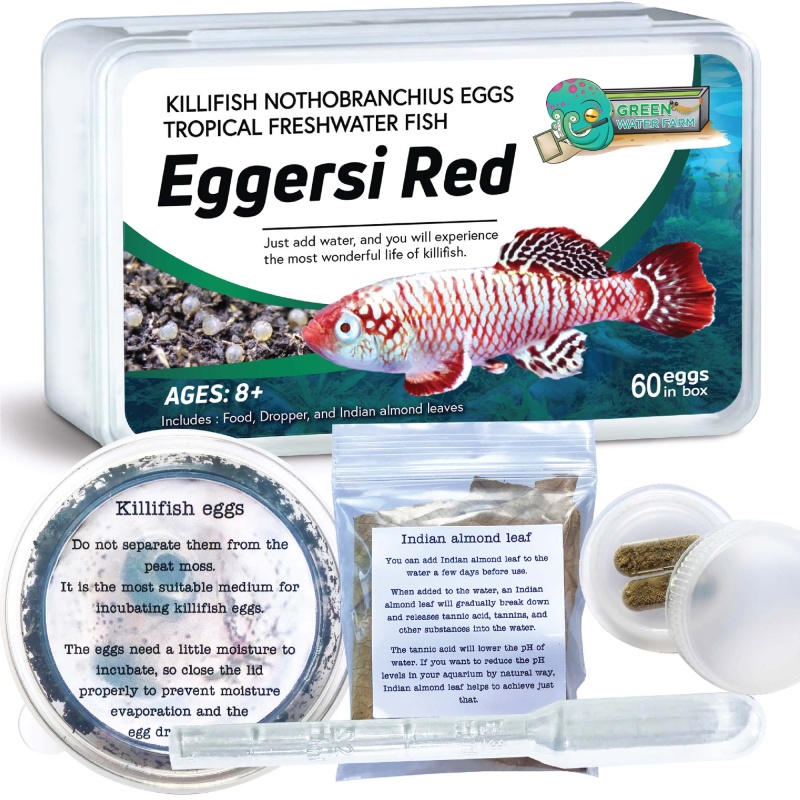 Nothobranchius Eggersi Red 60 eggs + food