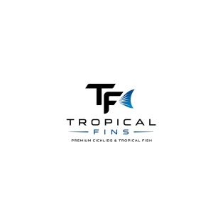 Tropical Fins