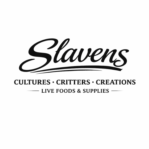 Slavens Cultures Critters Creations