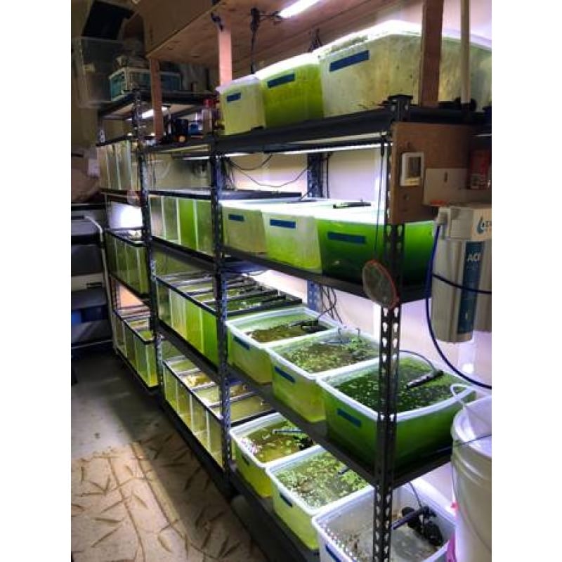 5G/10G/20G/35G/45G/50G/75G Glass Aquarium Fish tanks