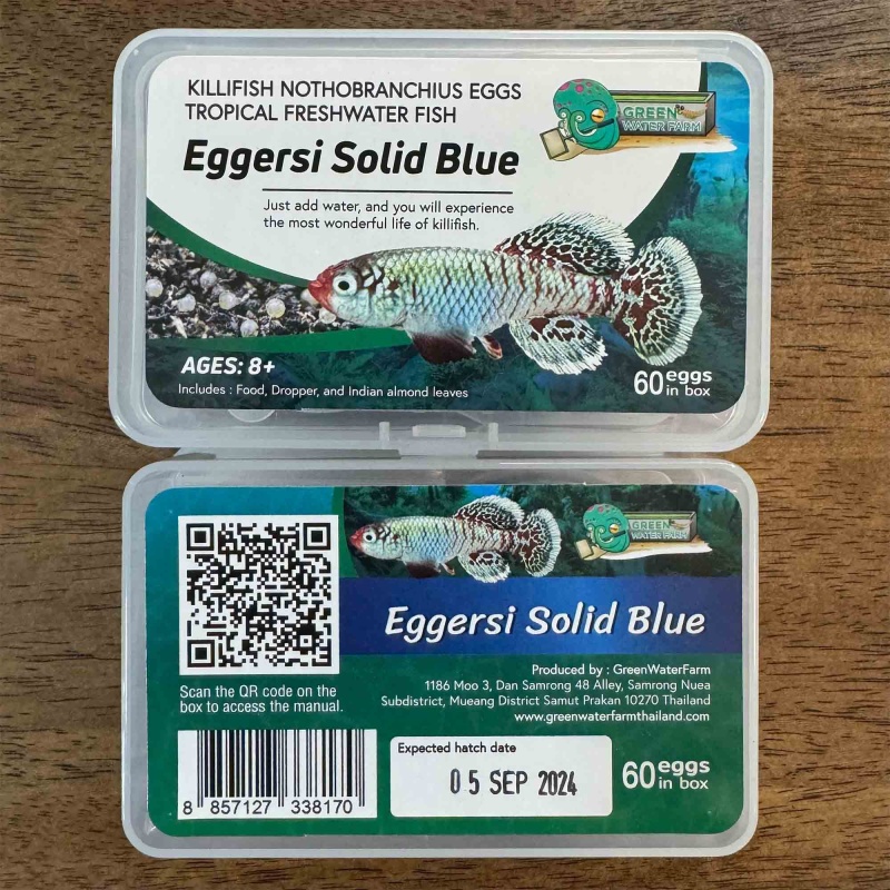 Nothobranchius Eggersi Solid Blue 60 eggs + food