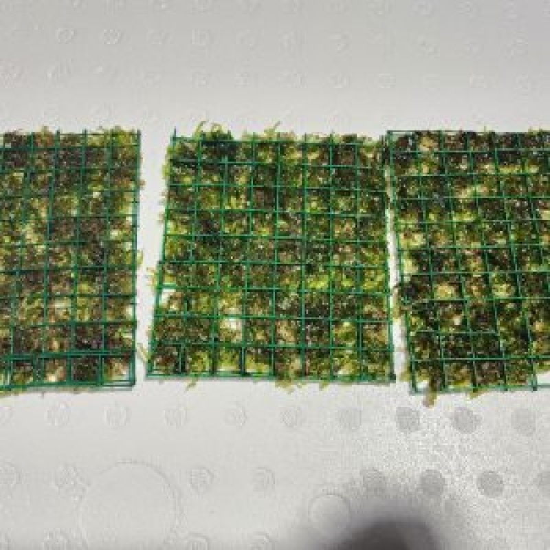 4 Susswassertang  mats