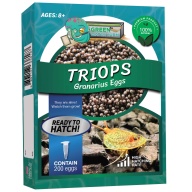 Triops Granarius Eggs