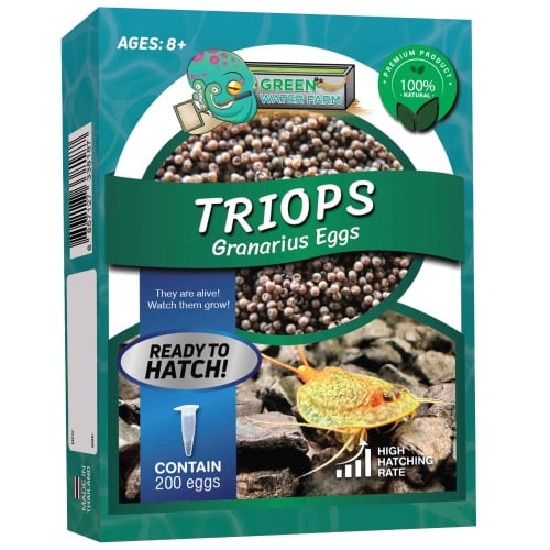 Triops Granarius Eggs