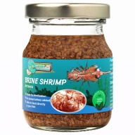 Brine Shrimp Sterilized