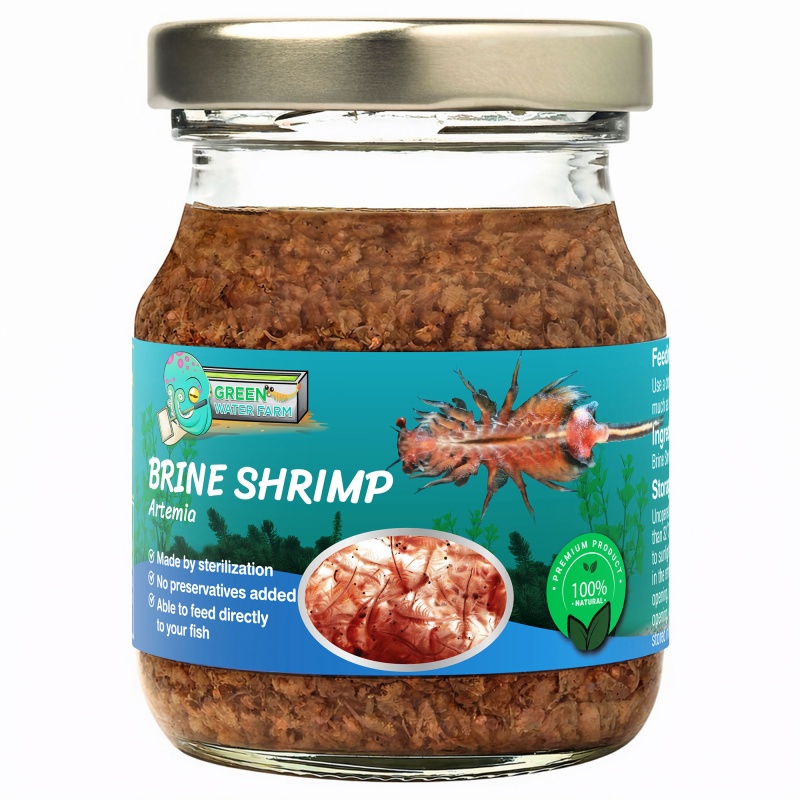 Brine Shrimp Sterilized