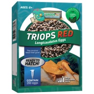 Triops Red Longicaudatus Eggs