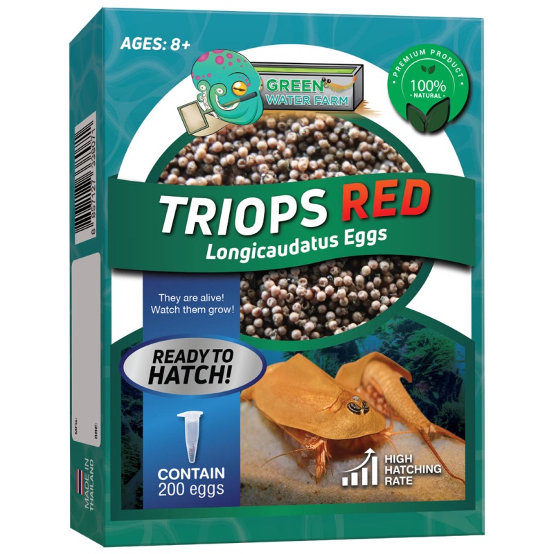 Triops Red Longicaudatus Eggs