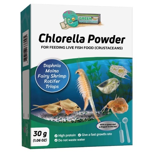 Chlorella Powder