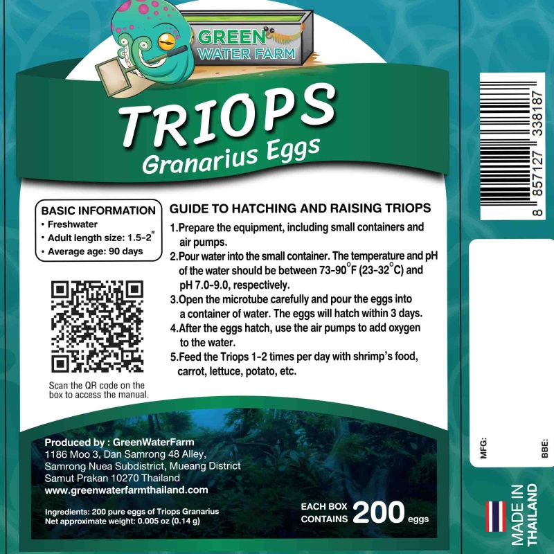 Triops Granarius Eggs