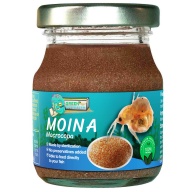 Moina Macrocopa Sterilized