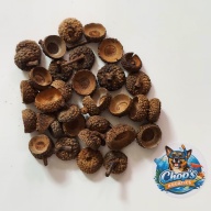 Acorn Caps - Kentucky | 30 Count | Shrimp & Blackwater Botanicals | Ship Included | Chop's Aquatics